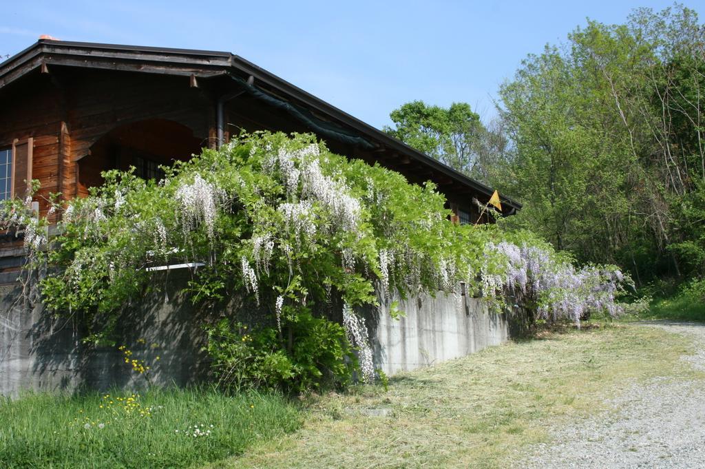 Casa Dell' Abbondanza B&B Agriturismo Vigoleno Exterior foto