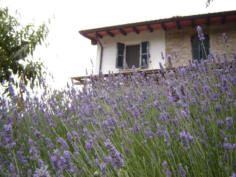 Casa Dell' Abbondanza B&B Agriturismo Vigoleno Exterior foto